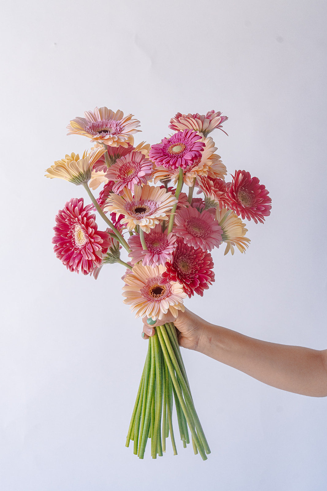 Fresh Cut Flowers