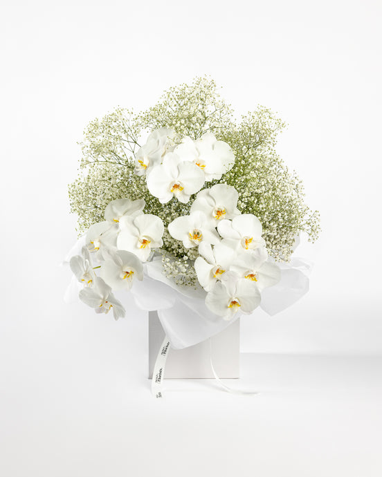 Luxe Orchids & Gypsophila - White on White