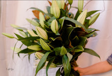Load image into Gallery viewer, Florist Delivery Melbourne