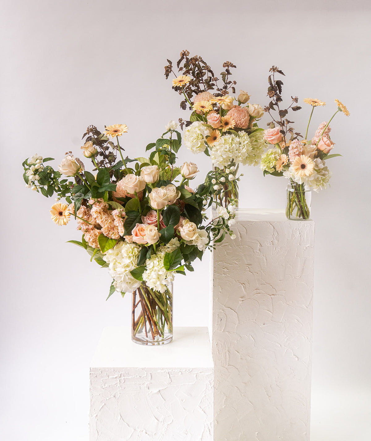 Posy Of The Day