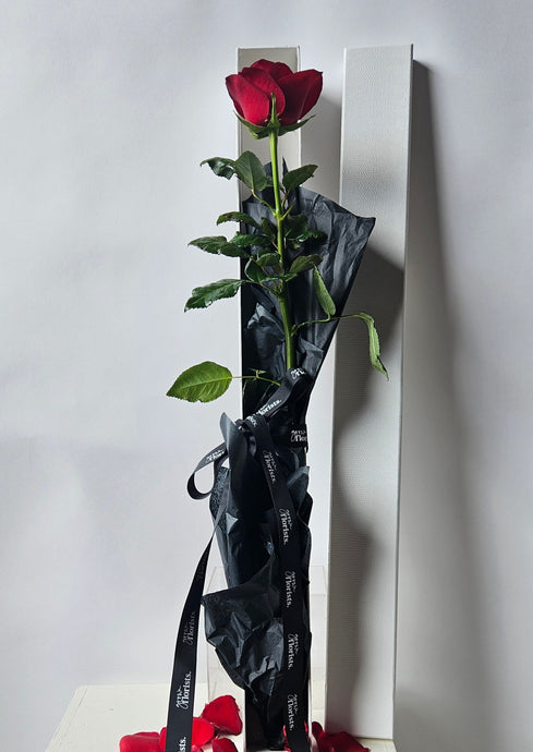 Single rose box