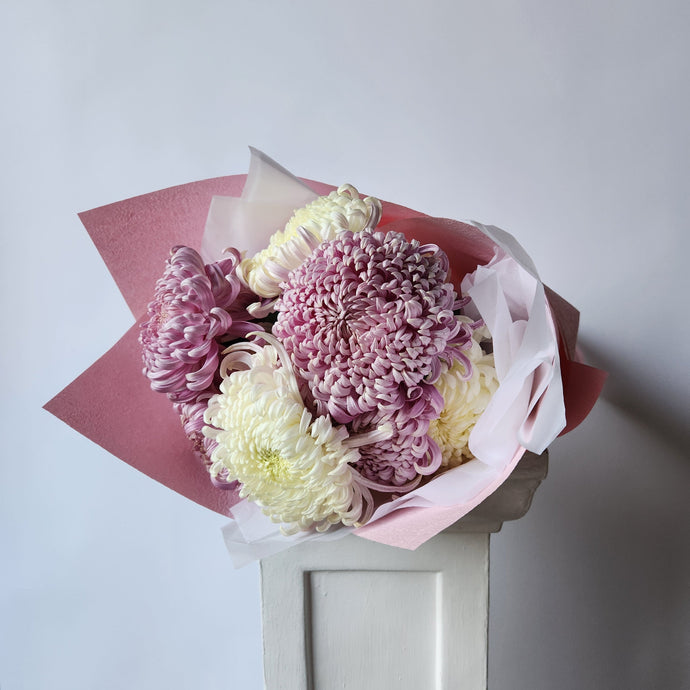 Mums Chrysanthemum En Masse