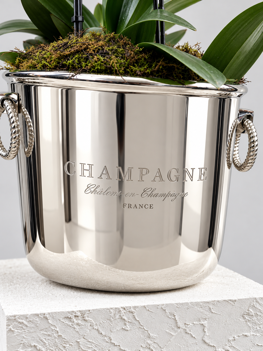 The Parisian - Premium