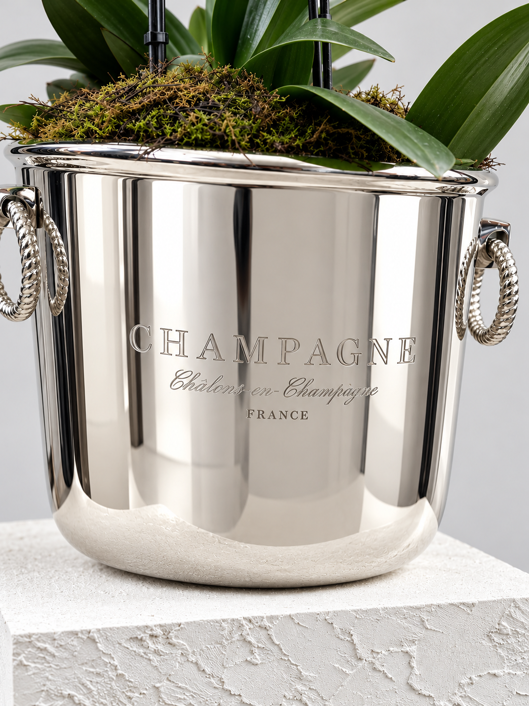 The Parisian - Premium