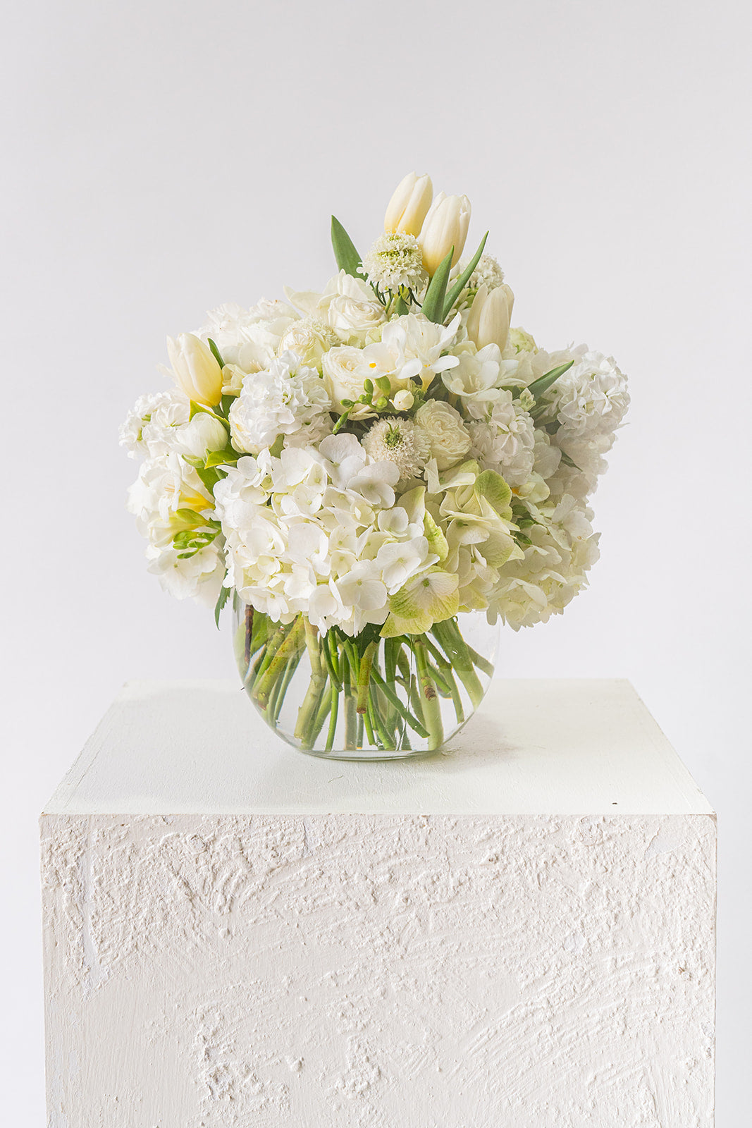 Seasonal Green and White bowl design