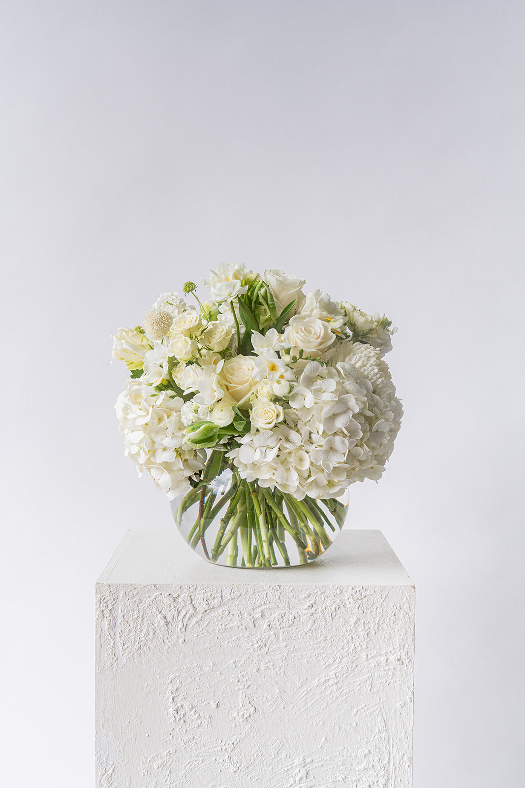 Seasonal Green and White bowl design