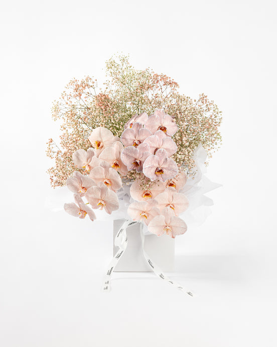 Luxe Orchids & Gypsophila - Peaches & Blush