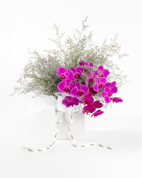 Luxe Orchids & Misty - Magenta & Lilac