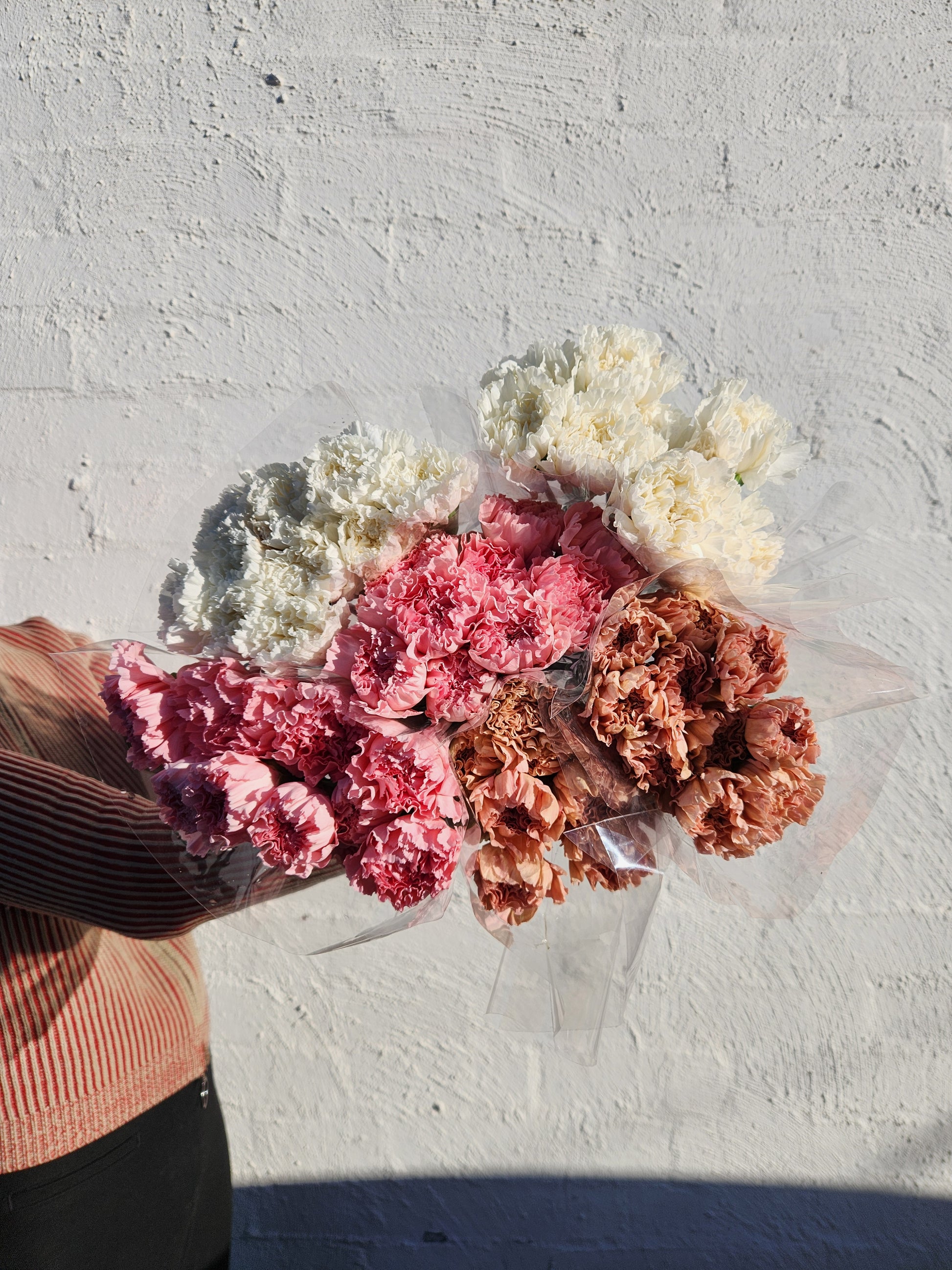Carnations