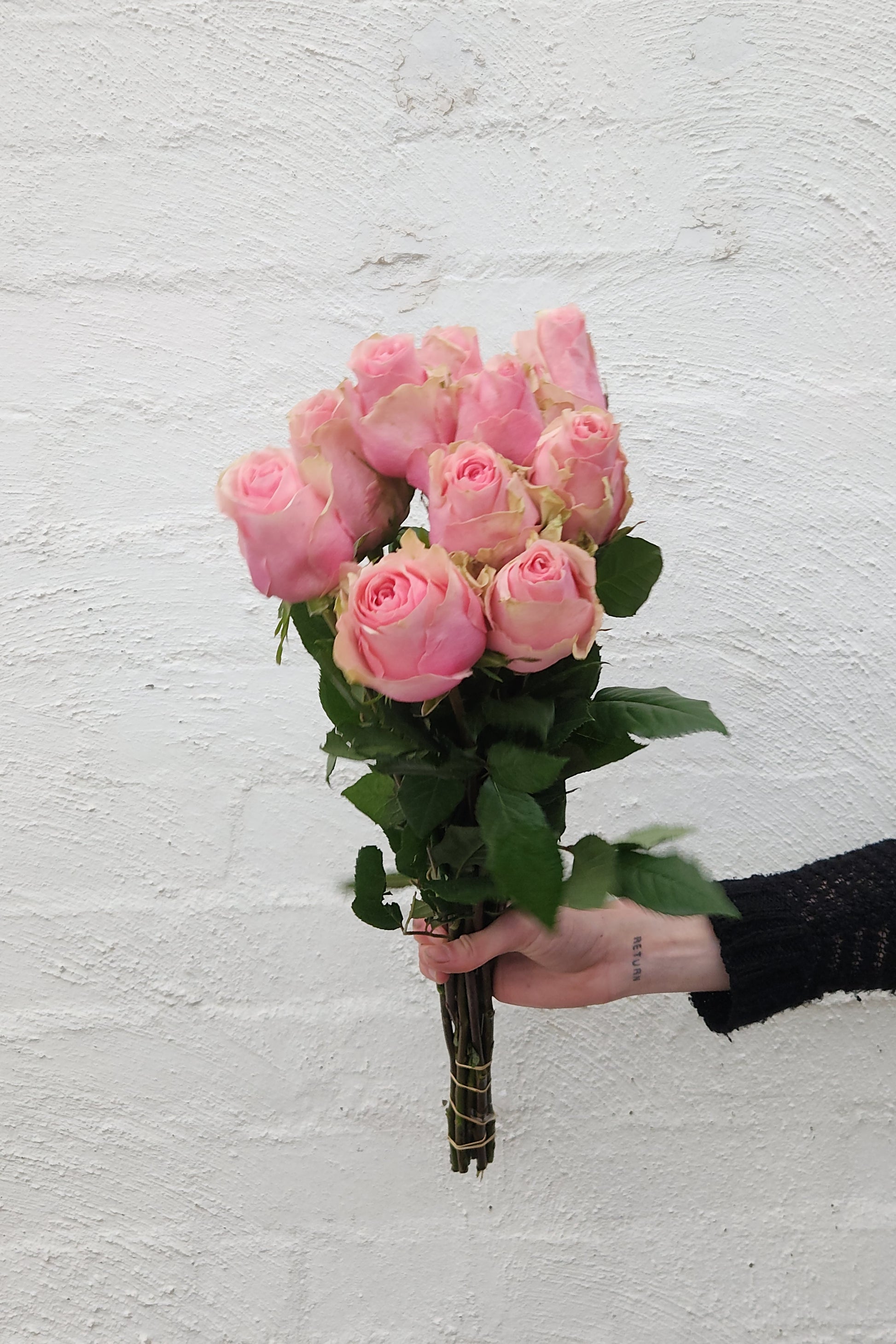 Tall 60cm roses