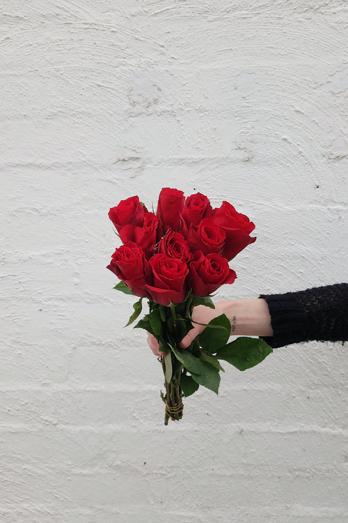 40cm Roses
