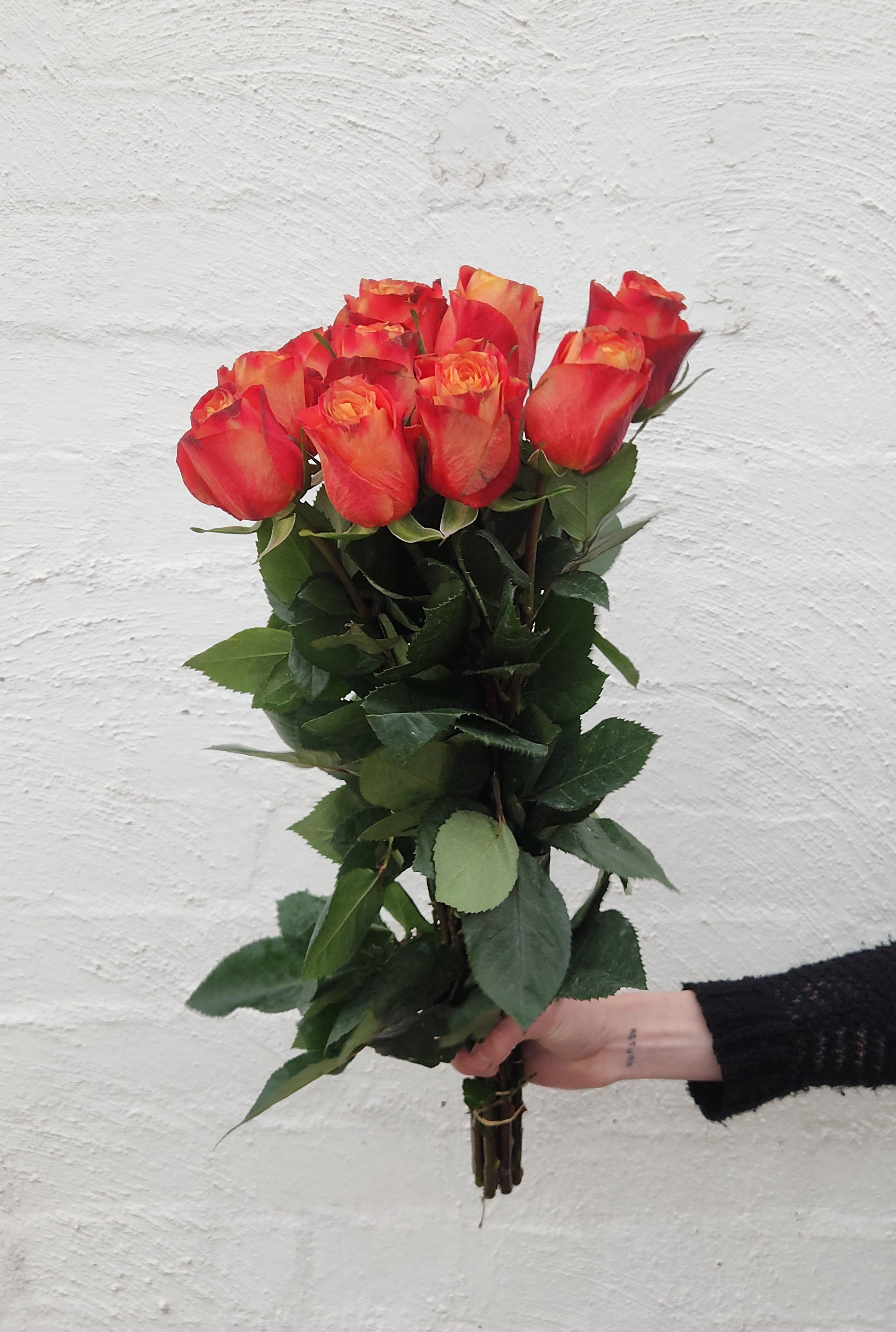 Tall 60cm roses