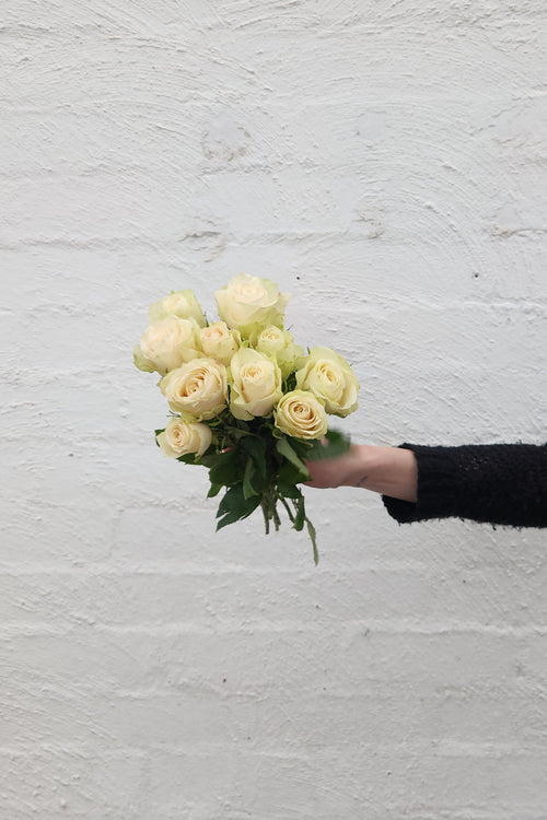 40cm Roses
