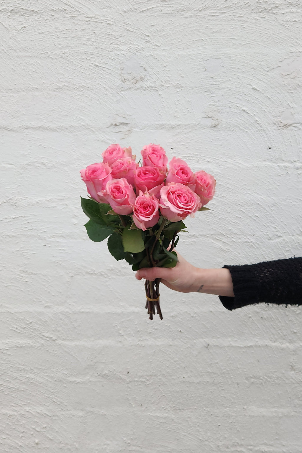 40cm Roses