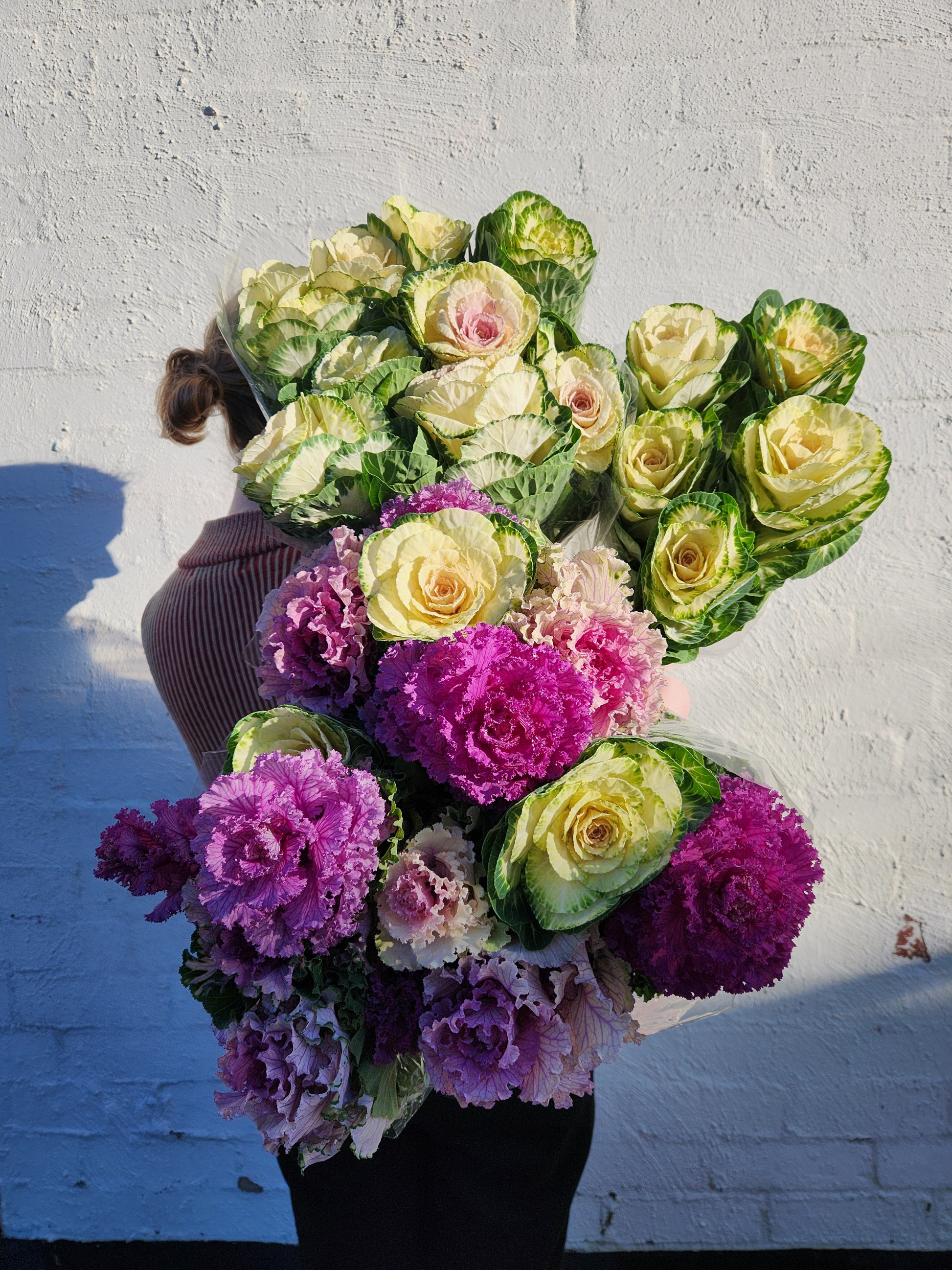 Ornamental Kale