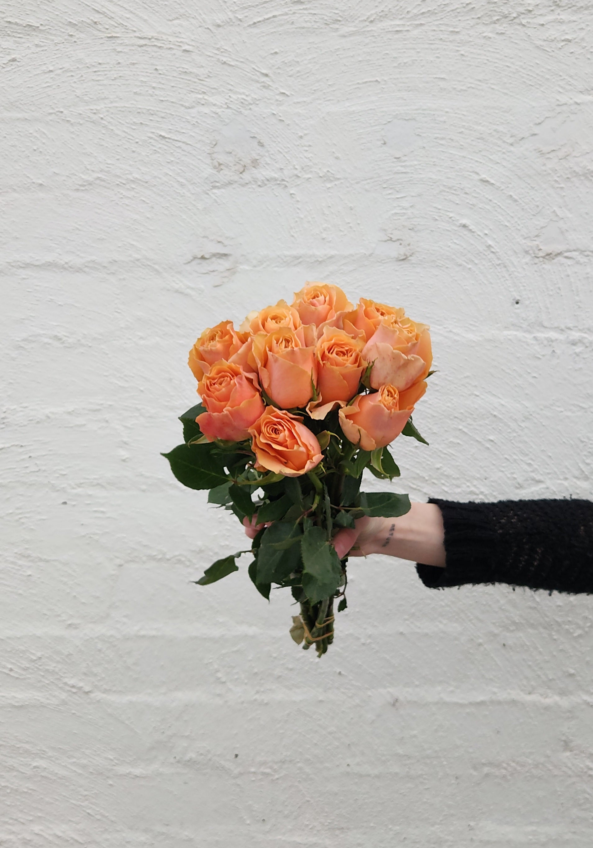 40cm Roses