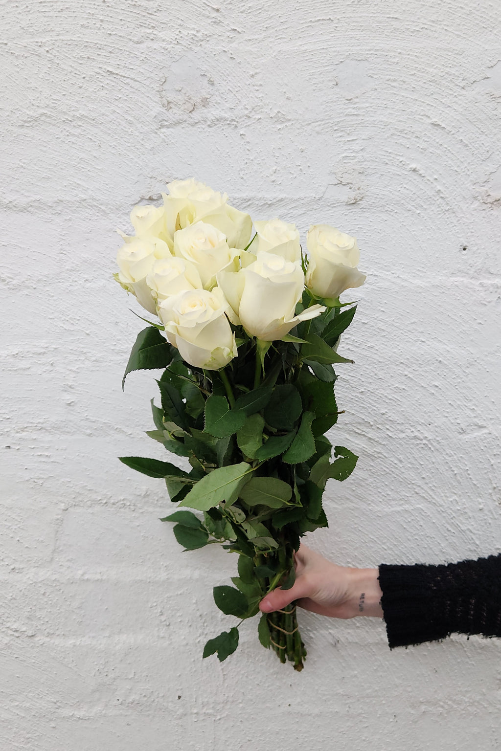 Tall 60cm roses