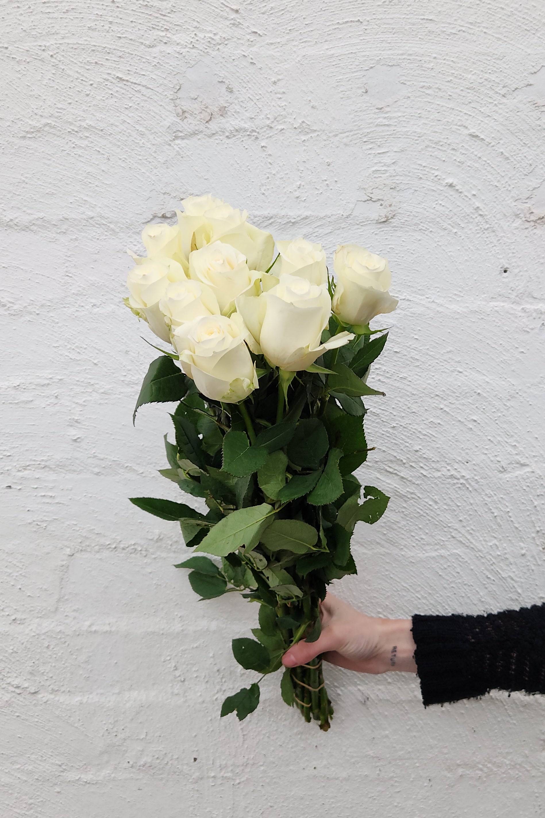 Tall 60cm roses