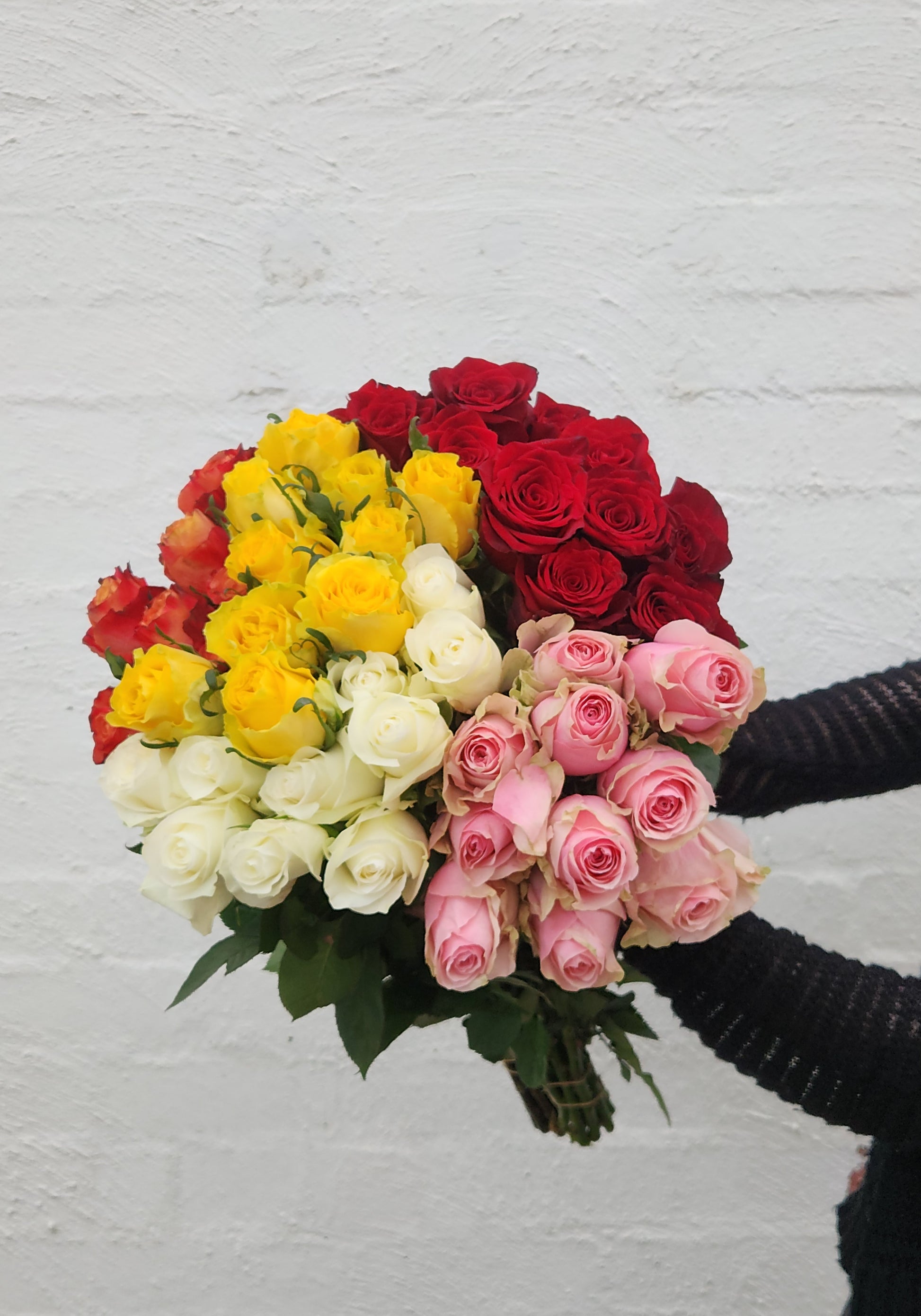 Tall 60cm roses