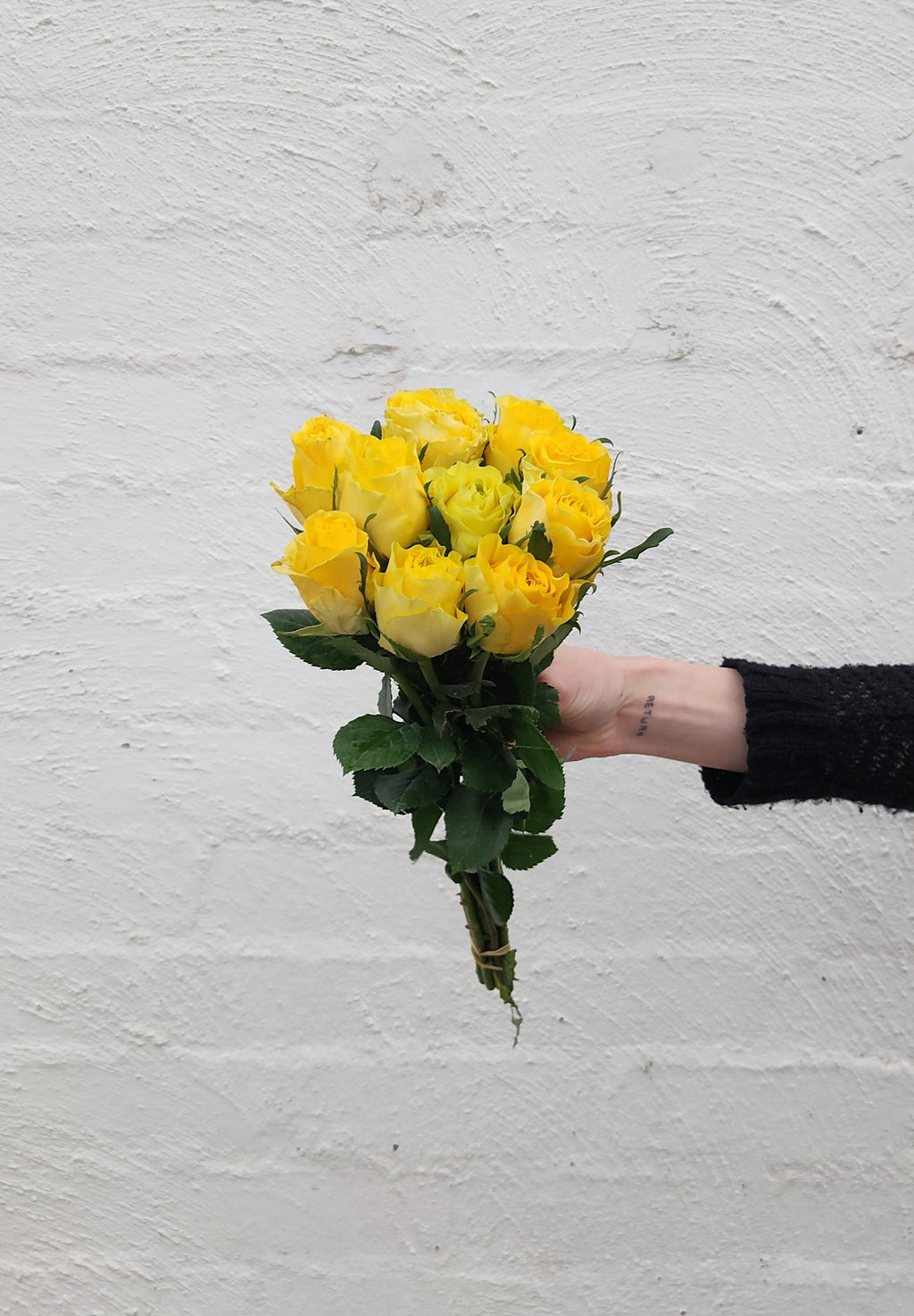 40cm Roses