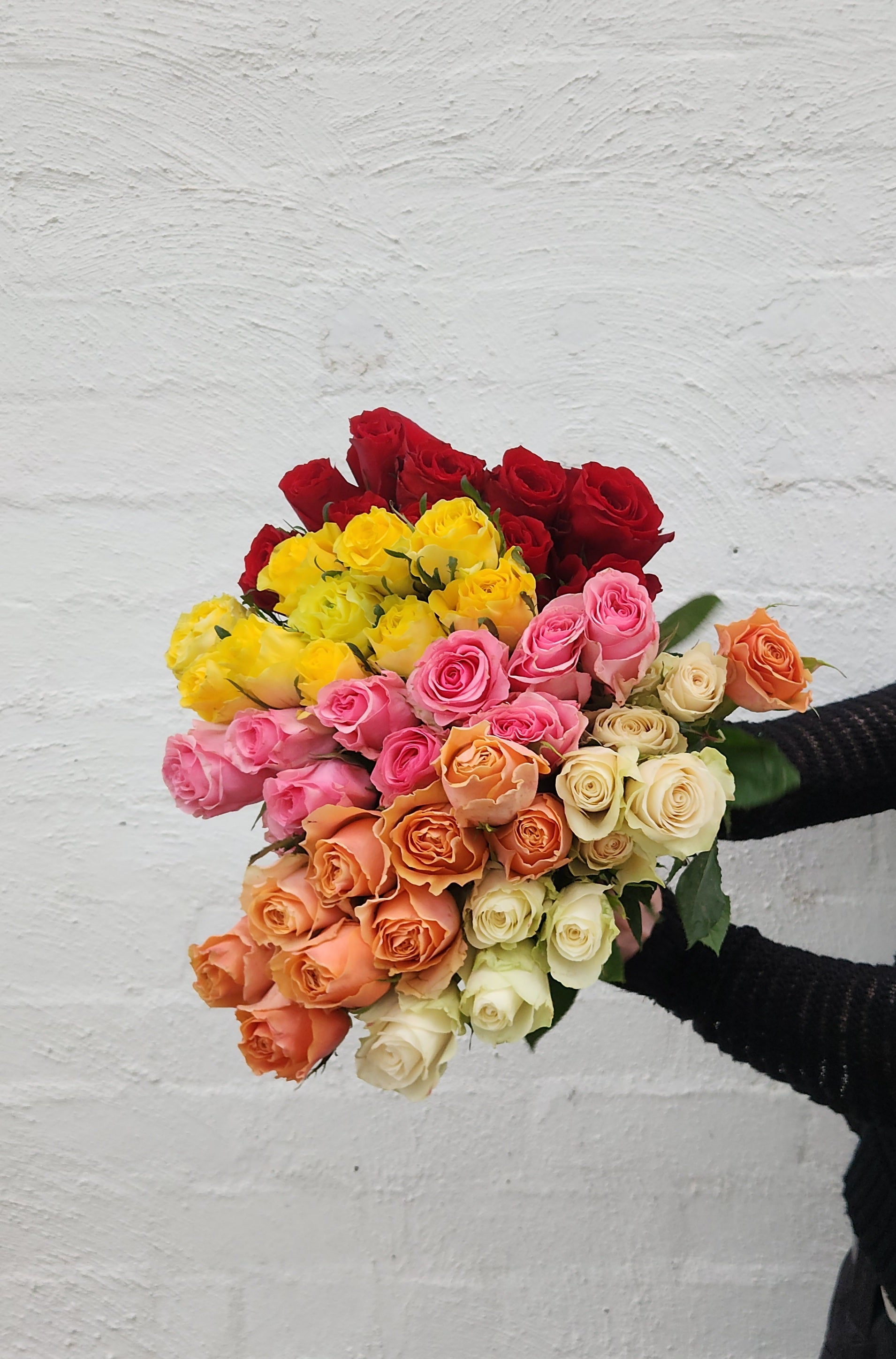 40cm Roses