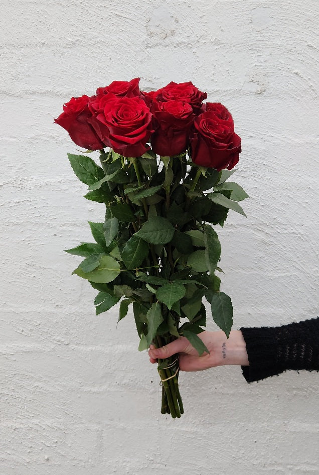 Tall 60cm roses