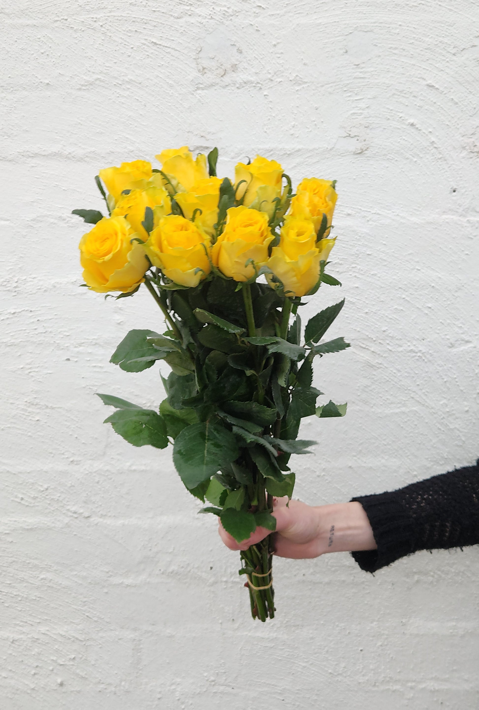 Tall 60cm roses