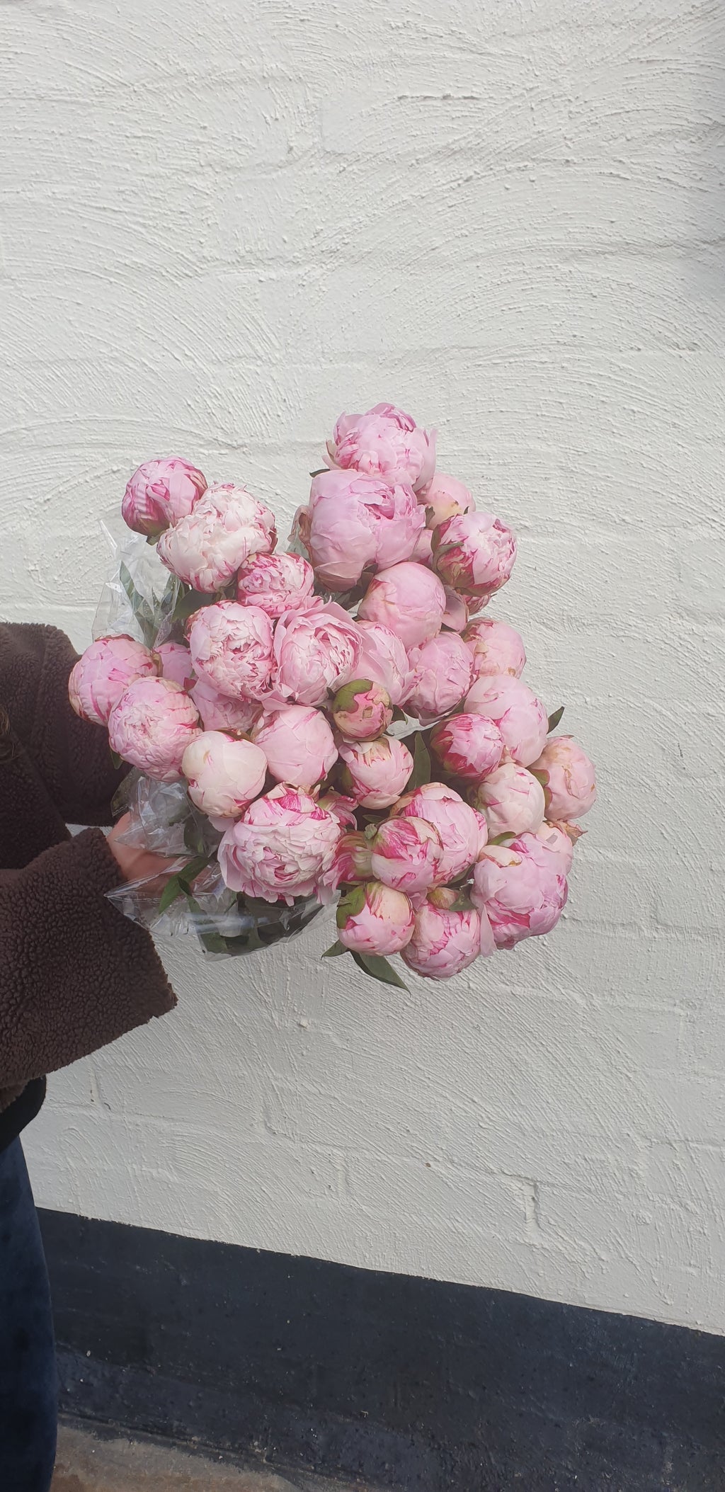 Peonies