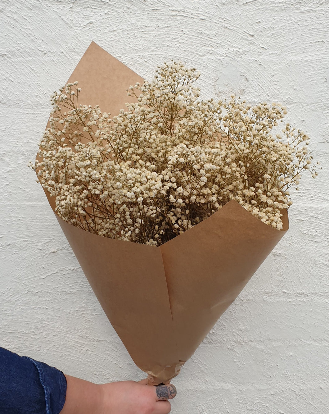 Preserved Gypsophila