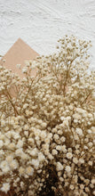 Load image into Gallery viewer, Preserved Gypsophila