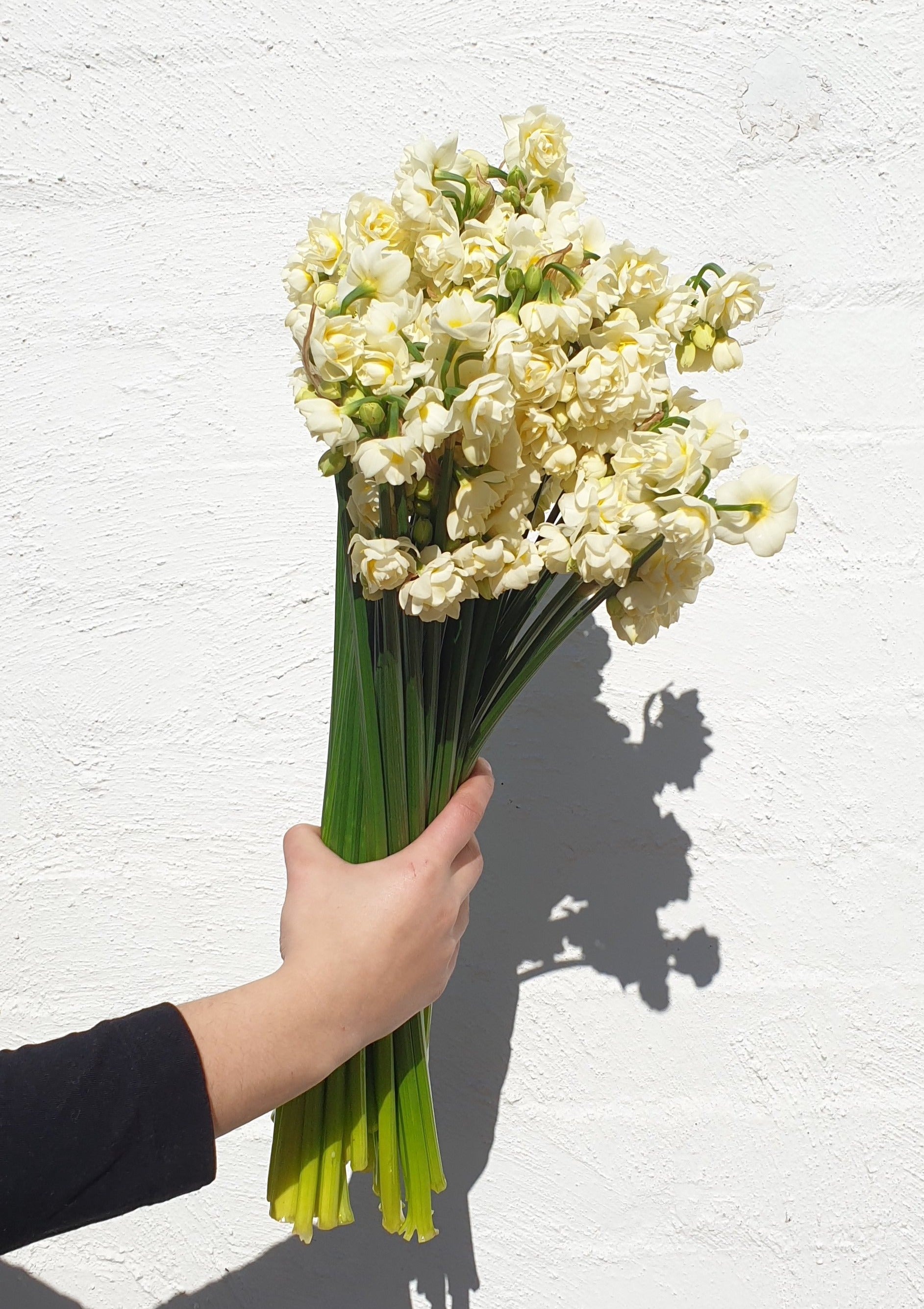 Erlicheer | Grown Florist