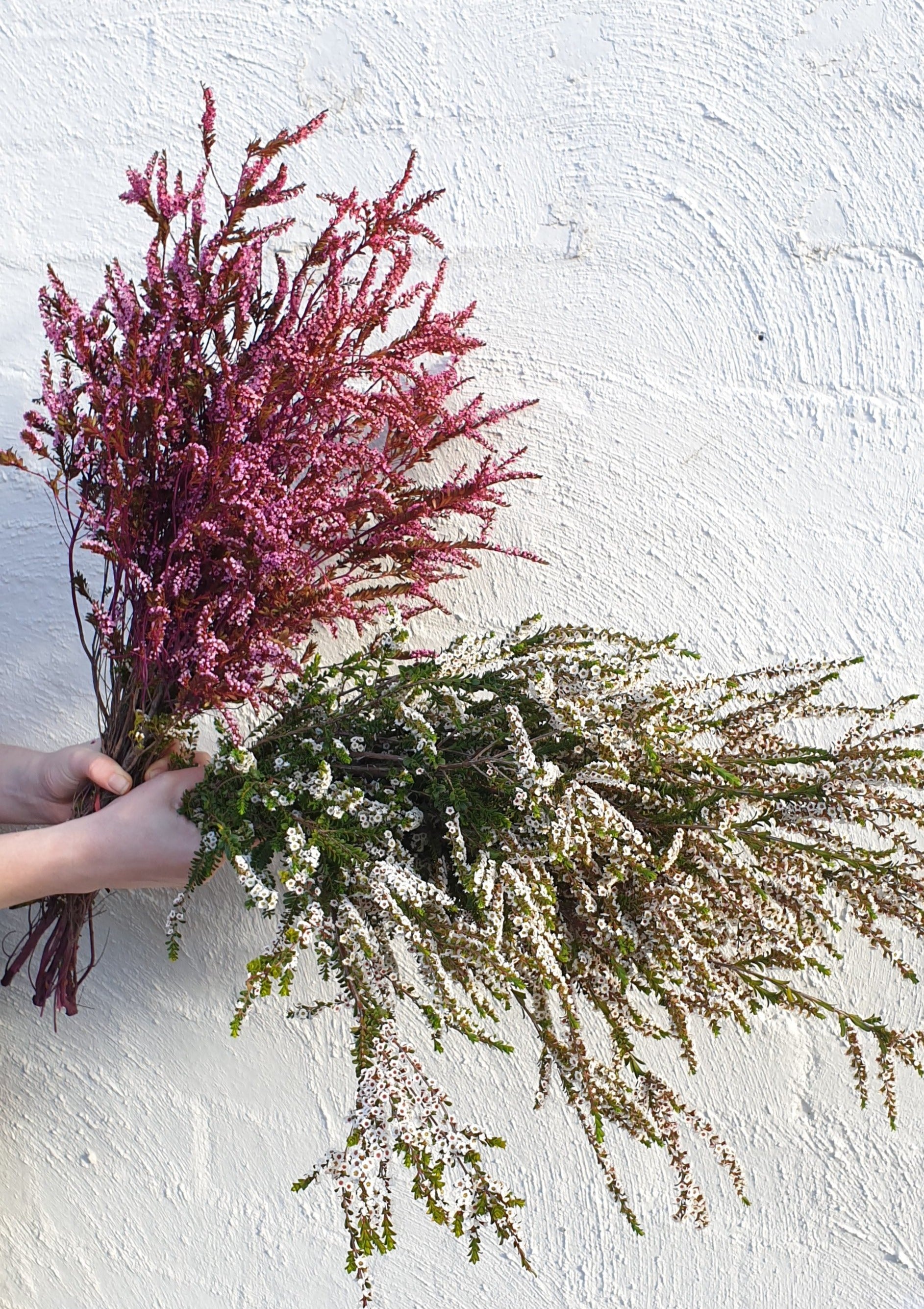 Thryptomene