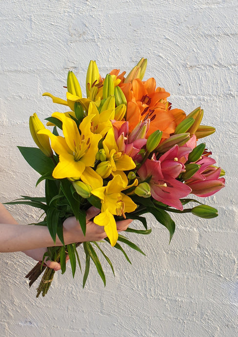 LA Lilies | Grown Florist