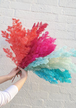 Load image into Gallery viewer, Preserved Ming Fern | Grown Florist
