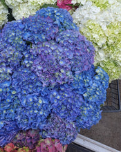 Load image into Gallery viewer, Hydrangea