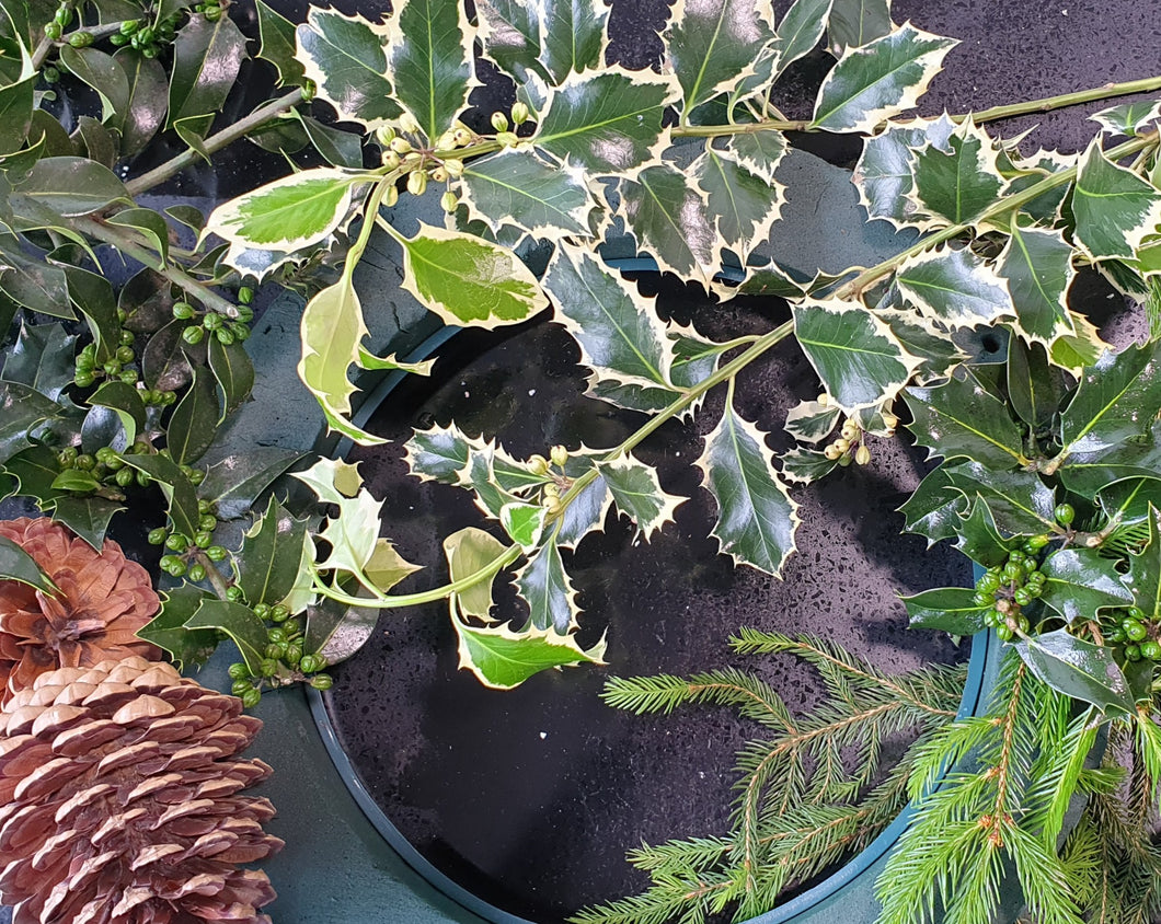 DIY Fresh Christmas wreath