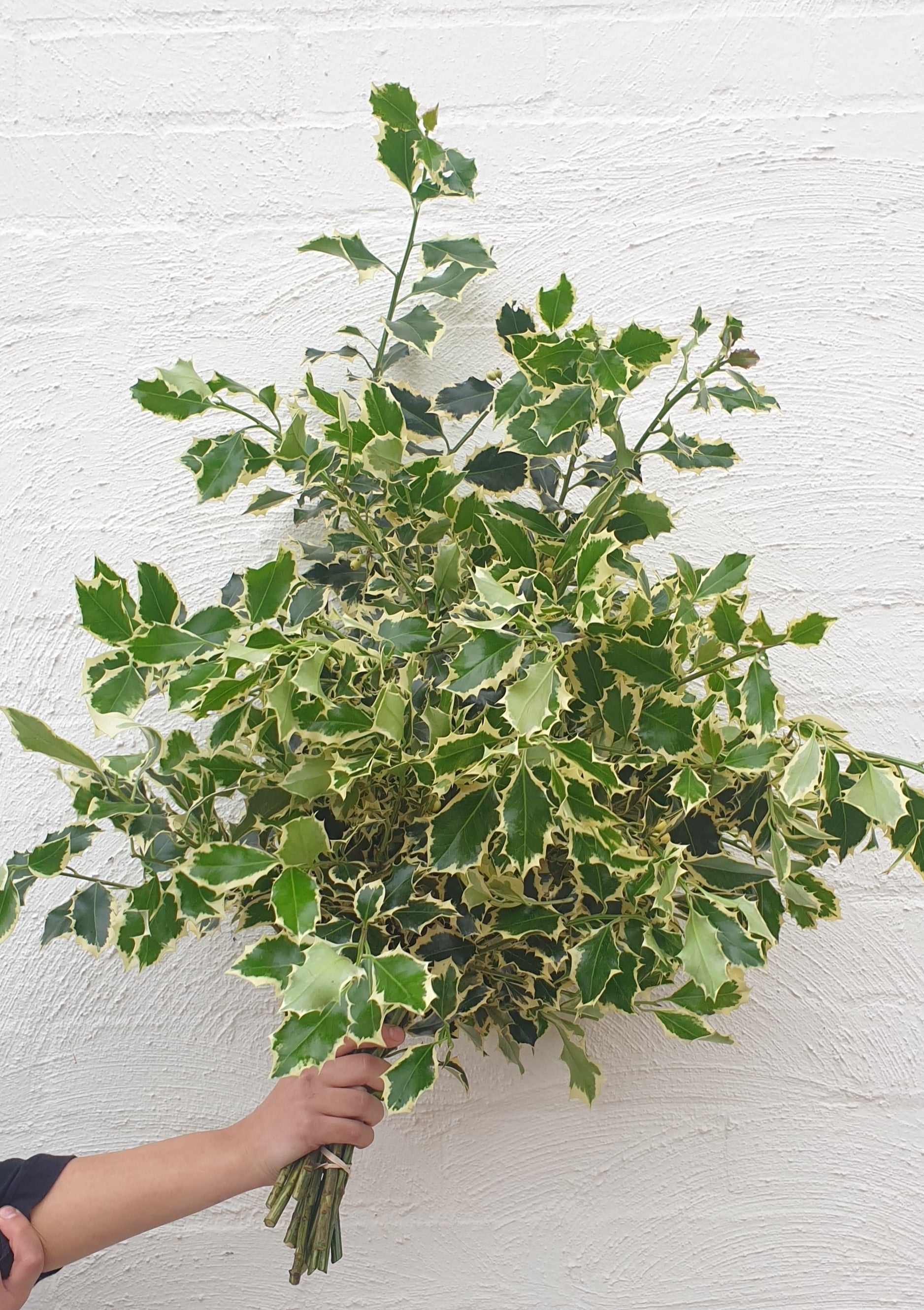 Florist Delivery Melbourne