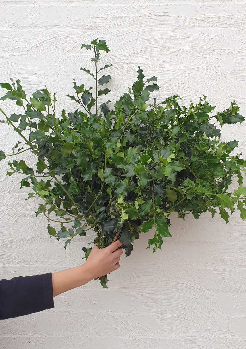 Florist Delivery Melbourne