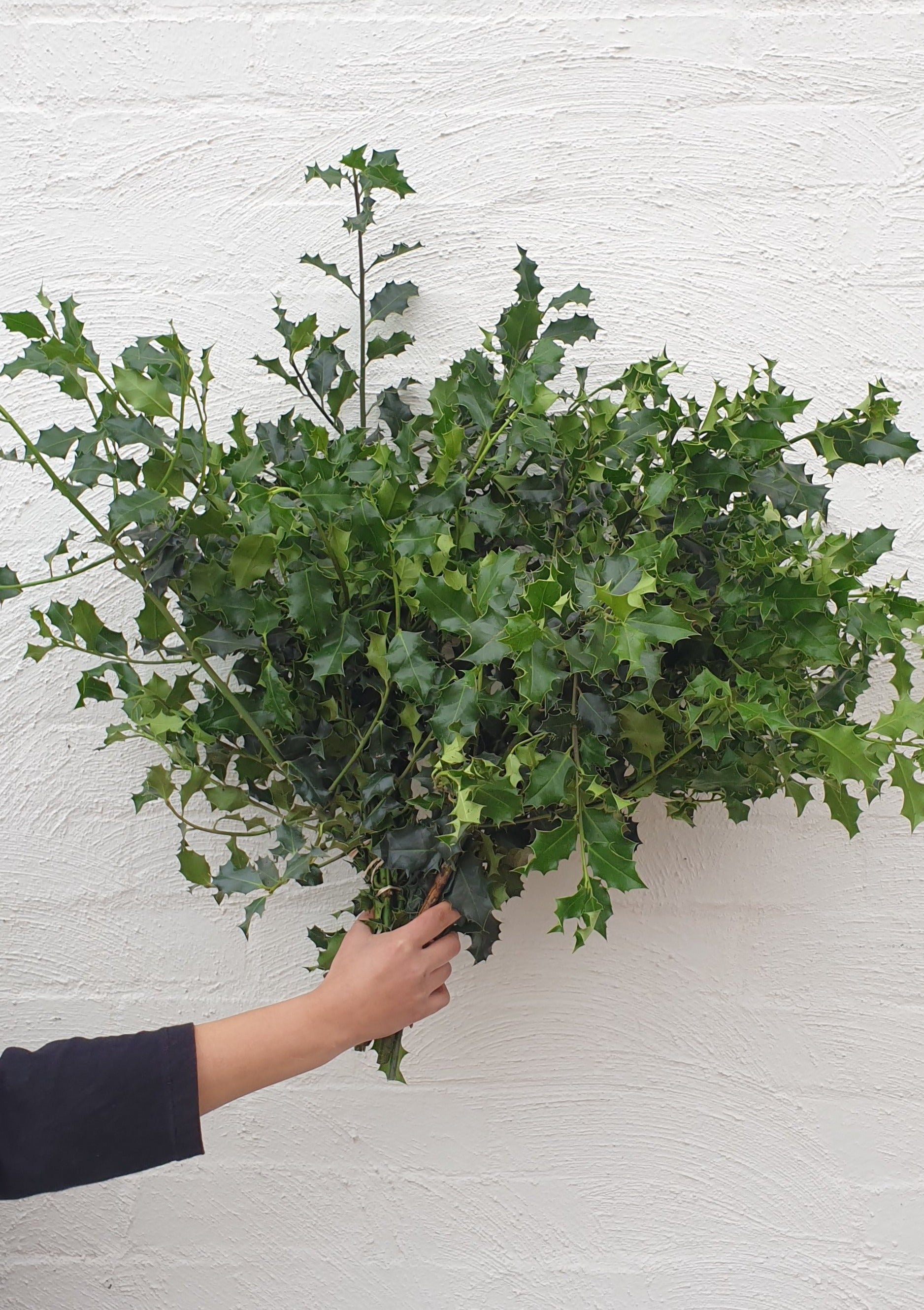 Florist Delivery Melbourne