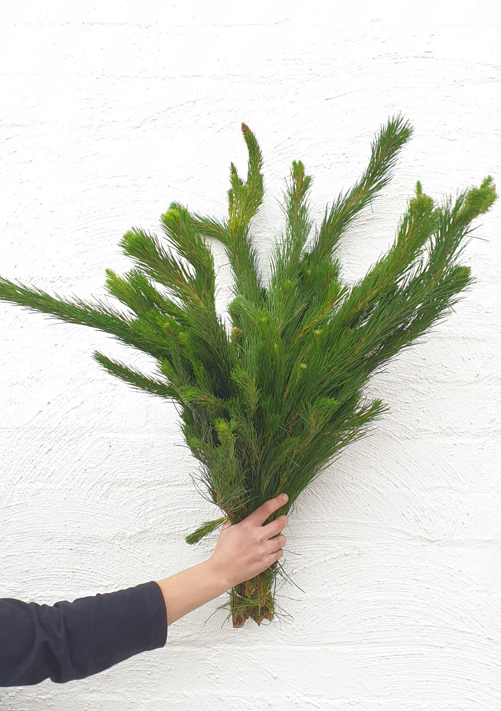 Florist Delivery Melbourne