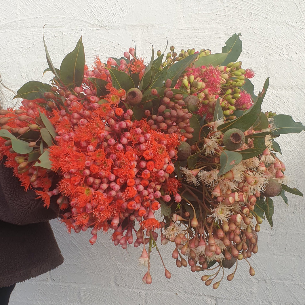 Flowering gum