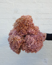 Load image into Gallery viewer, Preserved Lilac Hydrangea | Grown Florist