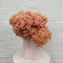 Load image into Gallery viewer, Preserved Hydrangea en masse