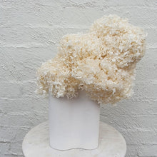 Load image into Gallery viewer, Preserved Hydrangea en masse