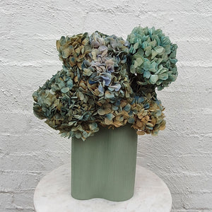 Preserved Hydrangea en masse