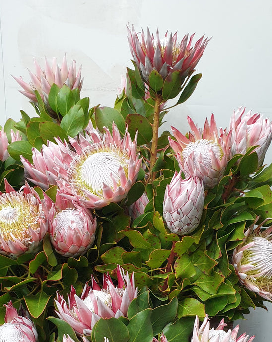 Florist Delivery Melbourne
