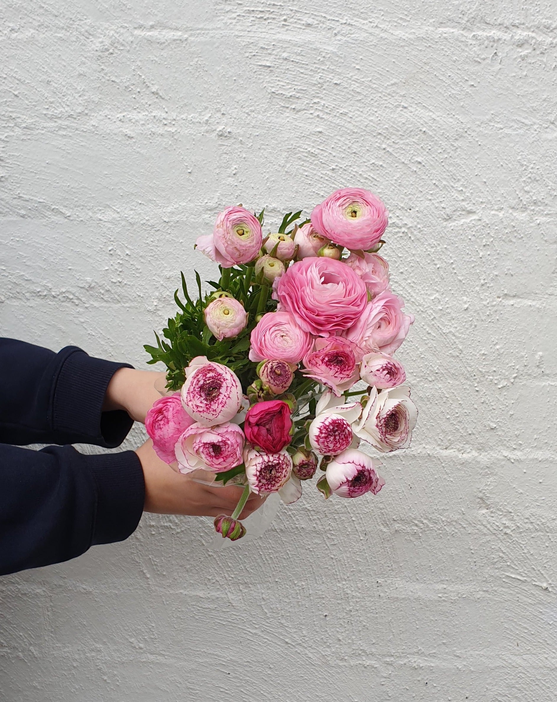 Ranunculus
