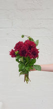 Load image into Gallery viewer, Dahlias