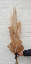 Load image into Gallery viewer, Preserved Pampas