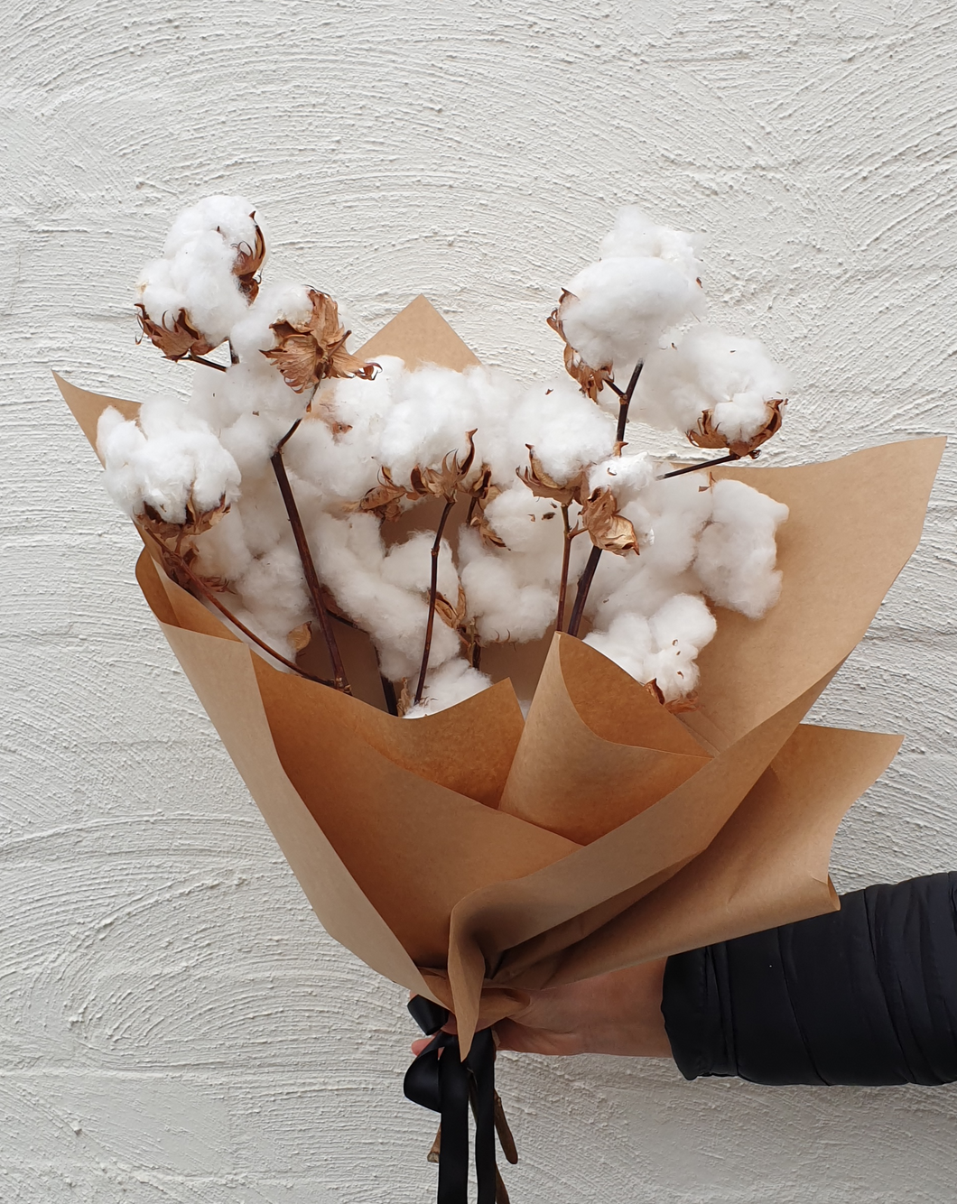 Preserved Cotton | Grown Florist